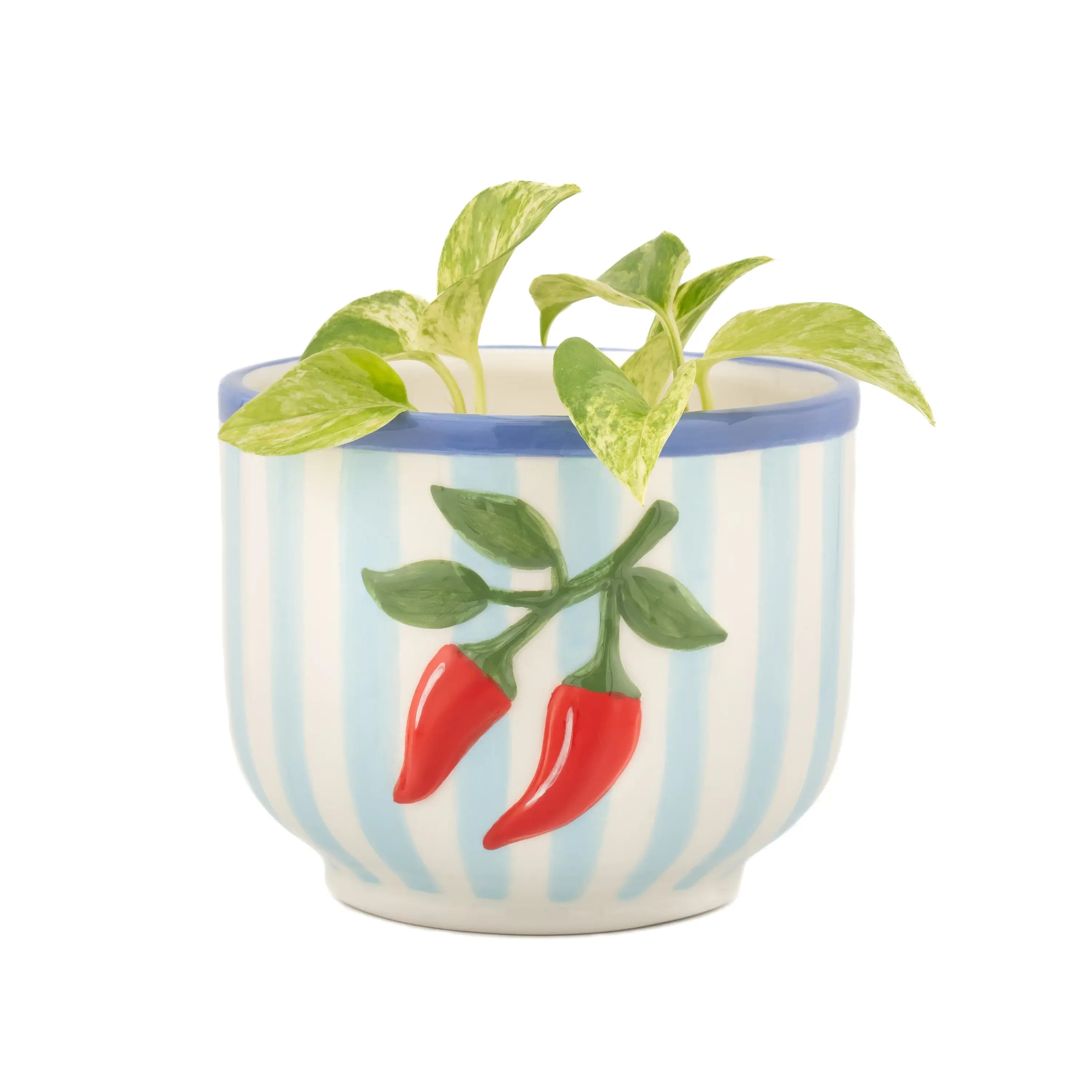 Håndmalt chili-potte